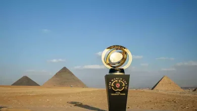 صورة جدول ترتيب المجموعة الثامنة ببطولة كأس العالم للأندية