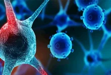 صورة منتشرة حاليا.. تحذيرات لكبار السن من متحورات فيروسية في الصيف
