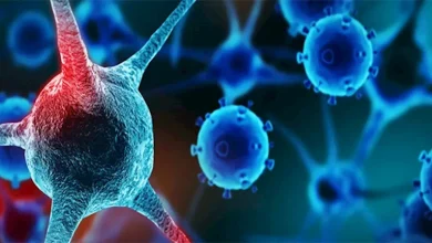 صورة منتشرة حاليا.. تحذيرات لكبار السن من متحورات فيروسية في الصيف