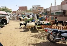 صورة الإفتاء توضح كيفية توزع الأُضْحِيَّة.. وهل الأحشاء والرأس توزع؟