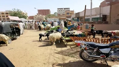 صورة الإفتاء توضح كيفية توزع الأُضْحِيَّة.. وهل الأحشاء والرأس توزع؟