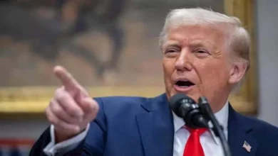 صورة ترامب: أمريكا ستحصل على المعادن من الصين.. والرسوم الجمركية سترتفع لـ5