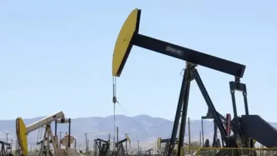صورة ماذا نعرف عن الكشف البترولي الجديد في منطقة أبو سنان؟