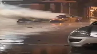 صورة نيسان مصر تقدم صيانات وقطع غيار مخفضة للمتضررين من عاصفة الإسكندرية