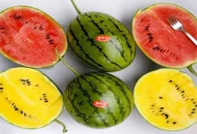 صورة هذا ما يحدث للقولون والكلي عند تناول البطيخ.. مفاجأة صادمة