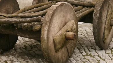 صورة ما السبب الحقيقي وراء اختراع العجلة قبل 6 آلاف سنة؟ (صور)