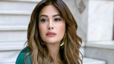 صورة بعد المطالبة بترحيلها.. طارق الشناوي يدعم هند صبري: محاولة ساذجة لاغتي