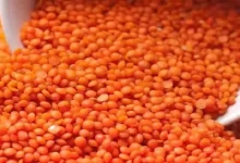 صورة انخفاض العدس.. أسعار السلع الأساسية بالأسواق