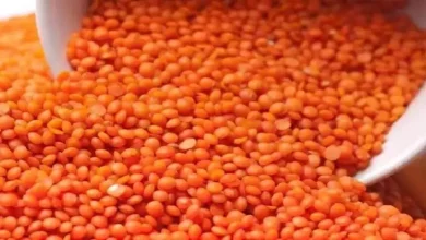 صورة انخفاض العدس.. أسعار السلع الأساسية بالأسواق