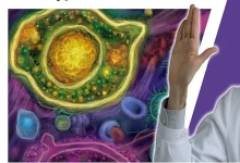 صورة هل اتباع أنظمة غذائية قاسية يحارب السرطان؟