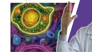 صورة هل اتباع أنظمة غذائية قاسية يحارب السرطان؟