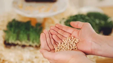 صورة ما أسهل طريقة لحساب زكاة الزروع والثمار؟.. الإفتاء توضح
