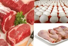 صورة URl : ارتفاع البيض والدواجن واللحوم.. خريطة الأسعار اليوم 28-6-2025