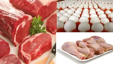 صورة URl : ارتفاع البيض والدواجن واللحوم.. خريطة الأسعار اليوم 28-6-2025