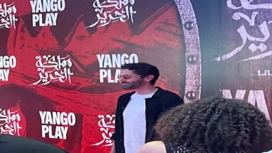 صورة بالصور.. توافد نجوم الفن على العرض الخاص لمسلسل “مملكة الحرير”