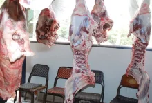 صورة أسعار السلع الأساسية 11-6-2025 بالأسواق (موقع رسمي)