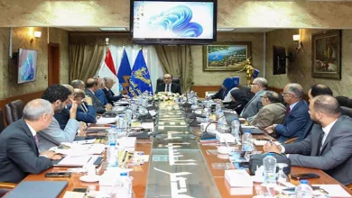 صورة وزير قطاع الأعمال: دراسة لإنشاء فنادق جديدة في عدد من المحافظات