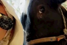 صورة وائل عبدالعزيز لـ ياسمين: “مشوفتش واحدة قدك يا قادرة”