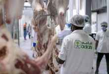 صورة مشروع السعودية للإفادة من الهدي والأضاحي يُعلن جاهزيته التشغيلية للحج  أخبار السعودية