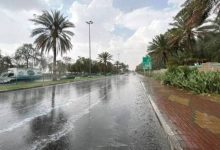 صورة «الأرصاد» تُنبّه من أمطار متوسطة ورياح شديدة على منطقة جازان  أخبار السعودية