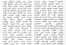 صورة «بن محماس» يشعل القلوب والفخر بوطن السلام  أخبار السعودية