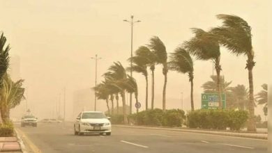 صورة «الأرصاد»: رياح نشطة وأتربة مثارة على منطقة نجران  أخبار السعودية