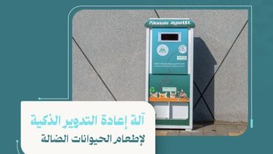 صورة آلة ذكية في شوارع حائل.. لخدمة الحيوانات الضالة  أخبار السعودية