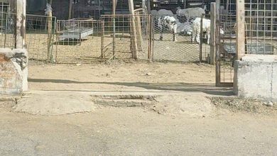 صورة سوق المواشي بلا موازين.. والباعة لم يخضعوا للتدريب  أخبار السعودية