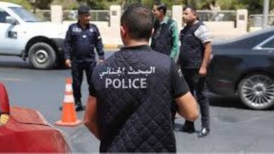 صورة «سرقة القرن».. مجهولون يفرغون خزينة مليونير من الماس في عمّان  أخبار السعودية