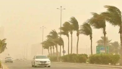 صورة «الأرصاد»: عوالق ترابية على القطاع التهامي بمنطقة الباحة  أخبار السعودية