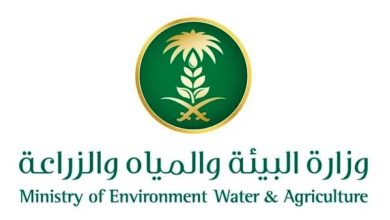 صورة «البيئة» تشدد على النظافة والتهوية ومنع تراكم الأتربة في أسواق الخضار  أخبار السعودية
