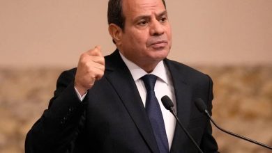 صورة السيسي: الحرب والاحتلال يغذيان الانتقام والمقاومة  أخبار السعودية