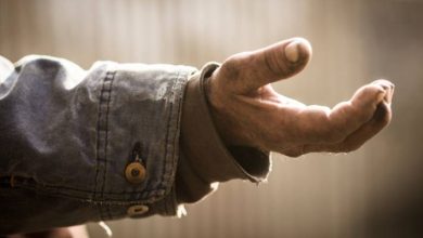 صورة | حملات مكافحة التسول تضبط 916 متسولًا خلال شهر والتنمية الاجتماعية تكشف التفاصيل