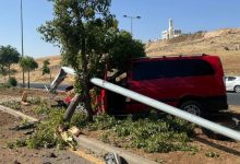 صورة | اصطدام مركبة بعمود إنارة وشجرة بعمان.. فيديو وصور