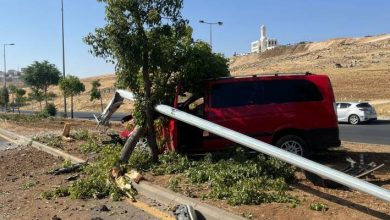 صورة | اصطدام مركبة بعمود إنارة وشجرة بعمان.. فيديو وصور