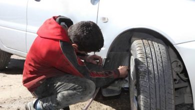 صورة | وزير العمل: حريصون على الحد من عمل الأطفال لأن مكانهم الطبيعي مقاعد الدراسة