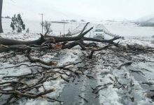 صورة | الأردن يعزي جنوب إفريقيا بعد العواصف الثلجية التي أودت بحياة عدد من الضحايا