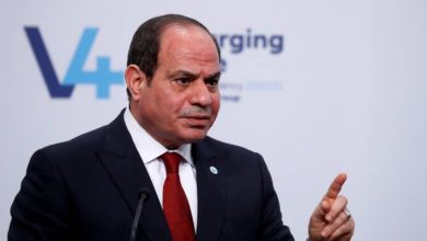 صورة | السيسي يؤكد لميرتس أهمية الاعتراف بالدولة الفلسطينية وفق حل الدولتين