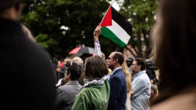 صورة | حماس: قرار الأمم المتحدة انتصار سياسي وأخلاقي لشعبنا ومقاومته