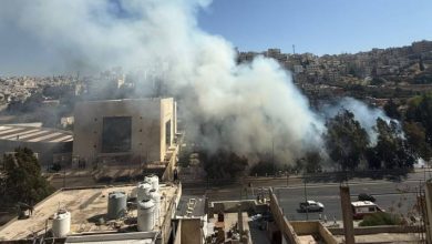 صورة | مصدر أمني: نشوب حريق أعشاب الجمعة بمنطقة وسط البلد.. فيديو