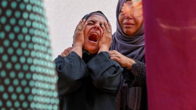 صورة | “الإعلام الحكومي” في غزة: استشهاد 300 فلسطيني أثناء محاولتهم الحصول على مساعدات خلال 13 يوما