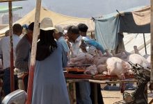 صورة بعد قرار إلغاء عيد الأضحى… إقبال كثيف على “بيبي” بسوق أولاد موسى وارتفاع في الأسعار بـ30 درهماً للكيلوغرام