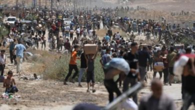 صورة مجزرة في رفح.. أكثر من 30 شهيدًا و150 جريحًا في قصف إسرائيلي استهدف فلسطينيين خلال استلام مساعدات