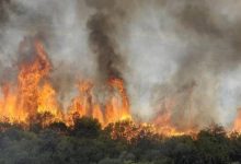 صورة إجلاء أكثر من 50 ألف شخص بسبب حرائق الغابات