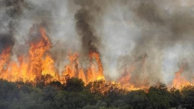 صورة إجلاء أكثر من 50 ألف شخص بسبب حرائق الغابات