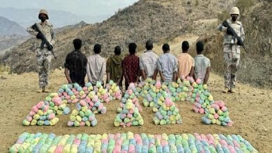 صورة القبض على 8 مخالفين لنظام أمن الحدود لتهريبهم 160 كيلوجرامًا من القات