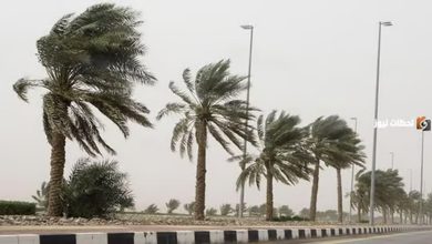 صورة “الأرصاد” ينبه من رياح نشطة على منطقة تبوك