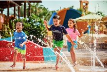 صورة دبي تحتفل بعيد الأضحى المبارك مع فعاليات ترفيهية وتجارب عائلية مميزة وعروض تجزئة حصرية وغيرها الكثير