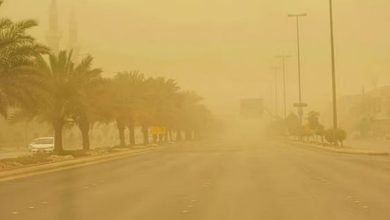 صورة عوالق ترابية ورياح نشطة على منطقتي نجران وتبوك
