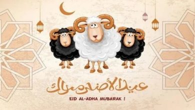 صورة من الاغتسال إلى الذبح.. أبرز سنن عيد الأضحى المبارك كما وردت عن النبي